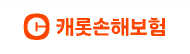 캐록손해보험